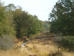 Nationaal Park De Meinweg