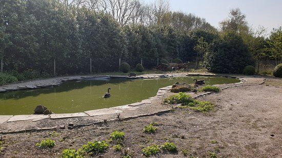 Vogelpark "De Lorkeershoeve"