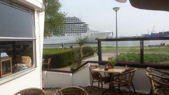 De Beren Schiedam