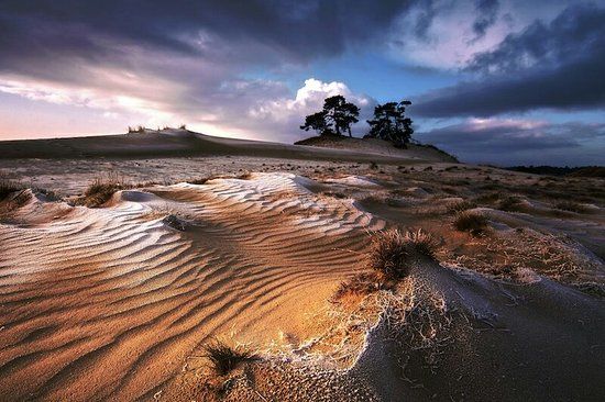 Kootwijkerzand