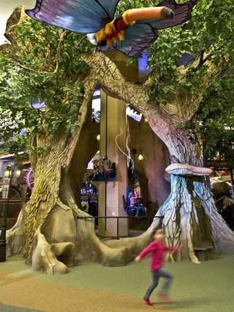 Kids Wonderland