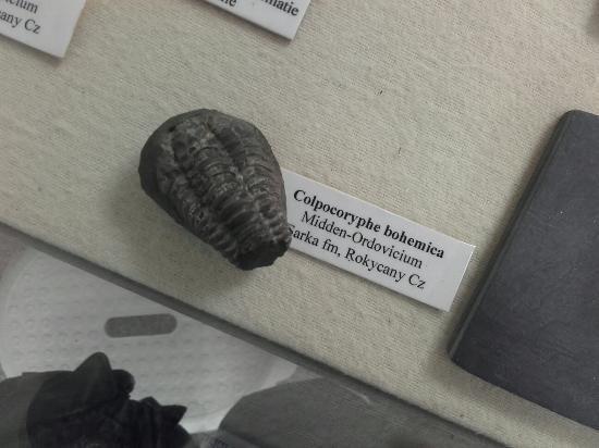 Gelders Geologisch Museum