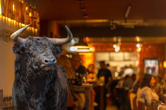 Vaca Negra