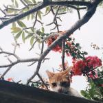 Sate by JUNE