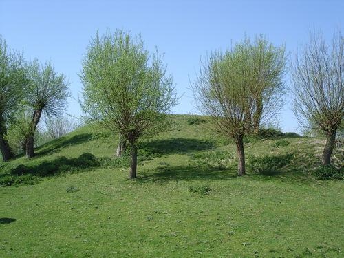Berg van Troje