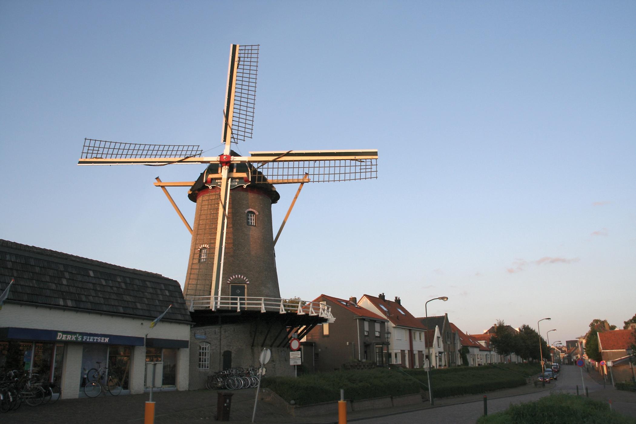 De Korenbloem