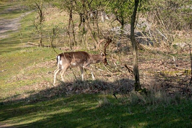 Amsterdamse Waterleidingduinen ingang Zandvoortselaan