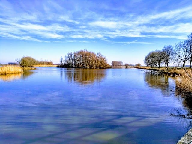 Nationaal Park De Biesbosch