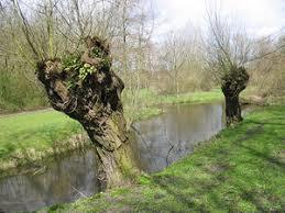Oudegein