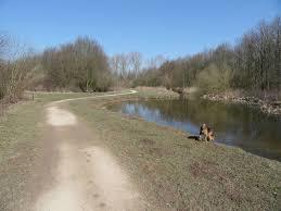 IJsselbos