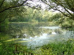 Duursche Waarden