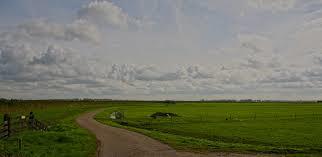 Hempolder