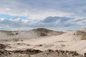 Eierlandse Duinen