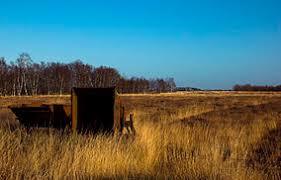 Bargerveen