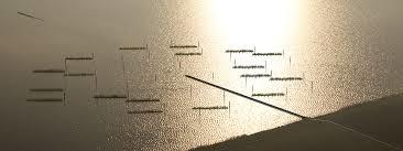 Pier+horizon