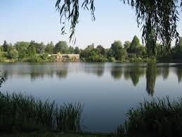 Hulsterplas
