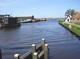 Wijde Wijmerts