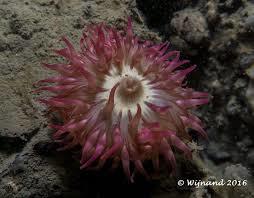 Divespot