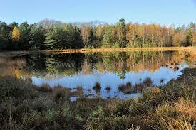 Kootwijkerveen