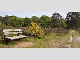 Wilde Kamp