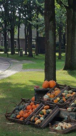 Pannenkoekenboerderij Brinkzicht