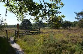 Cartierheide