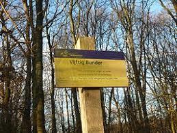 Vijftig Bunder