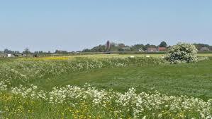Slachtedijk
