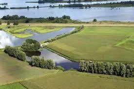 Gat van den Ham