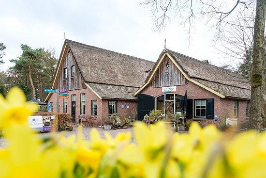 De Rheezerbelten Pannenkoeken