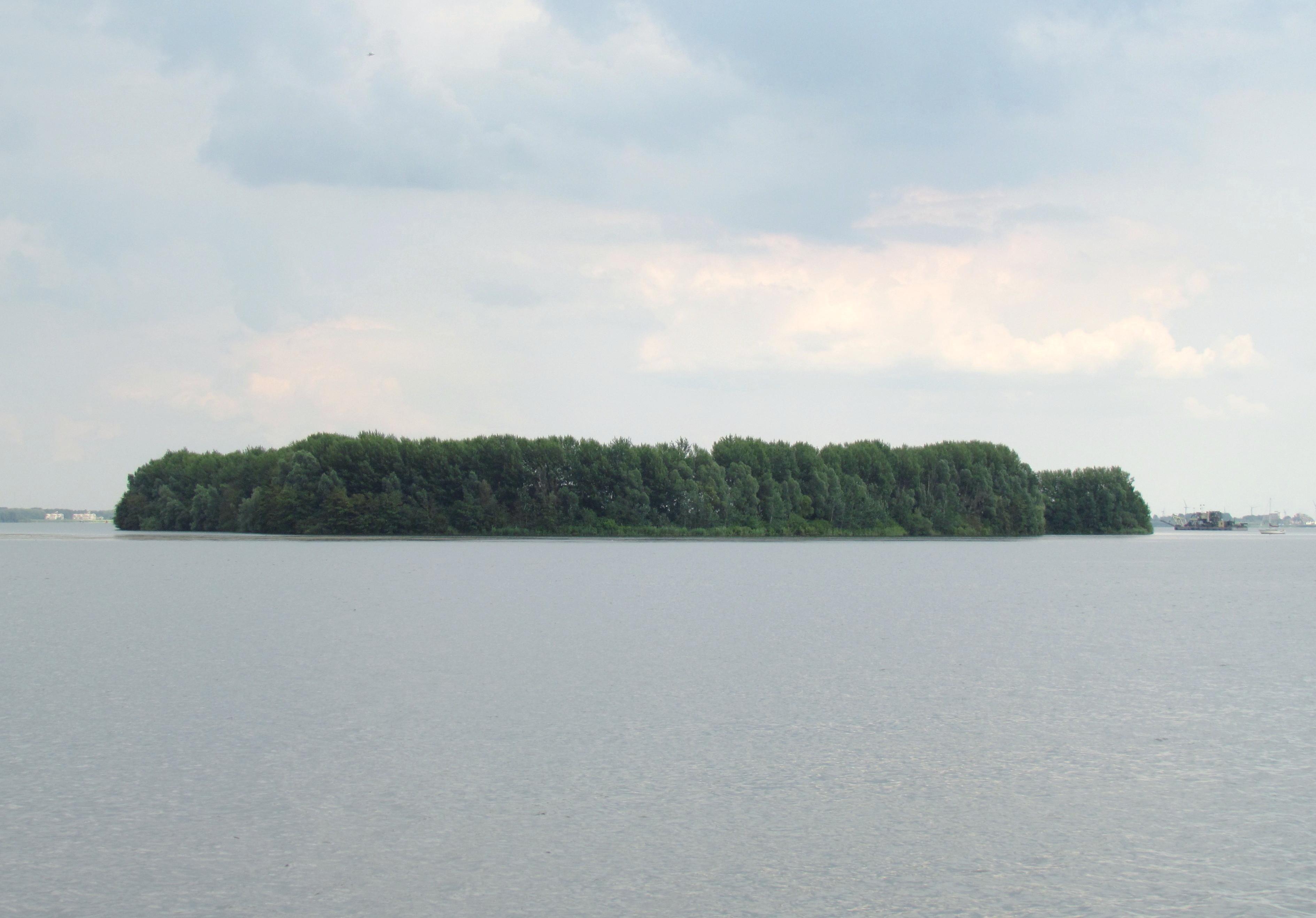 De Schelp
