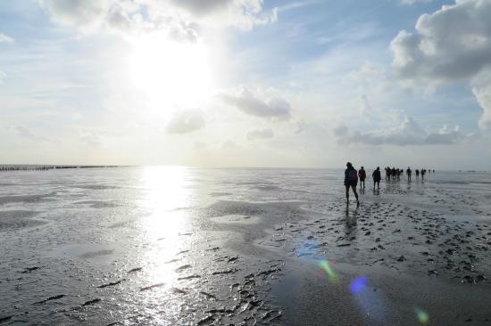 Dijkstra Wadlooptochten