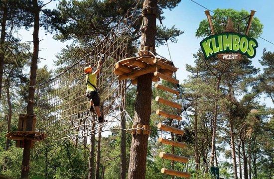 Klimbos Weert