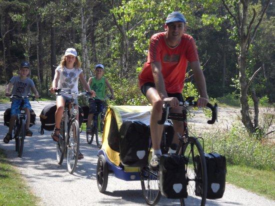 Tulip Cycling