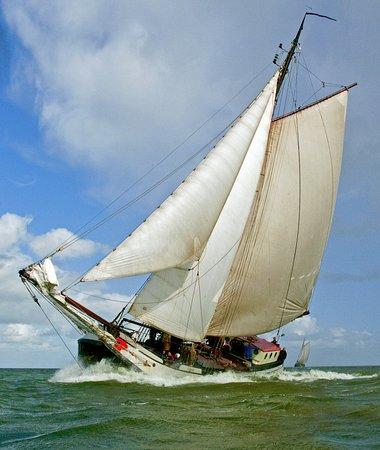 Hollands Glorie