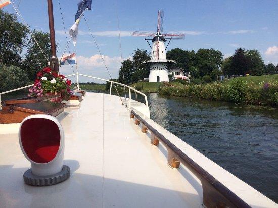 De Zeehond