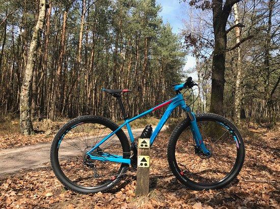 Mountainbike Experience Arnhem