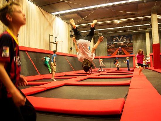 Bounz