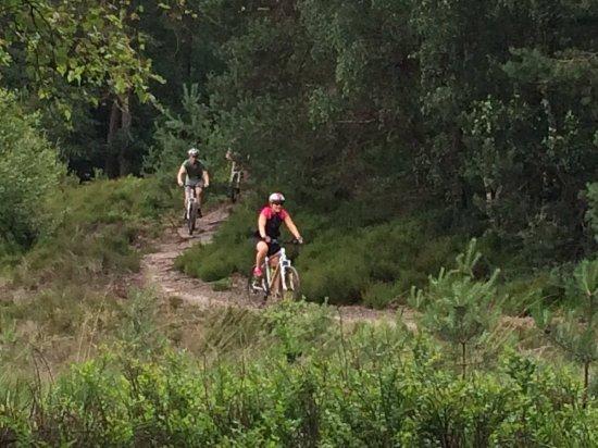 Mountainbikenopdeveluwe.nl