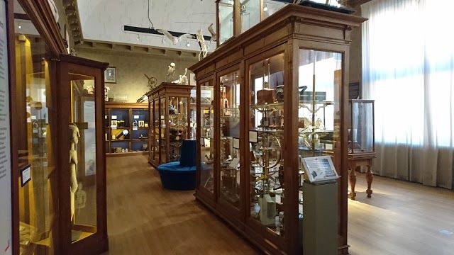 Universiteitsmuseum