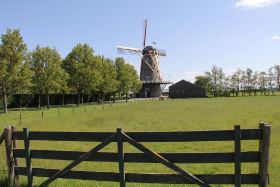 De Onderneming