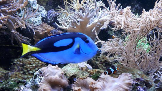 Aqua Zoo Leerdam
