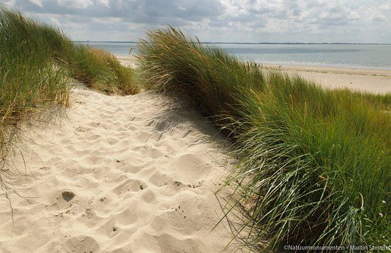 Voornes Duin