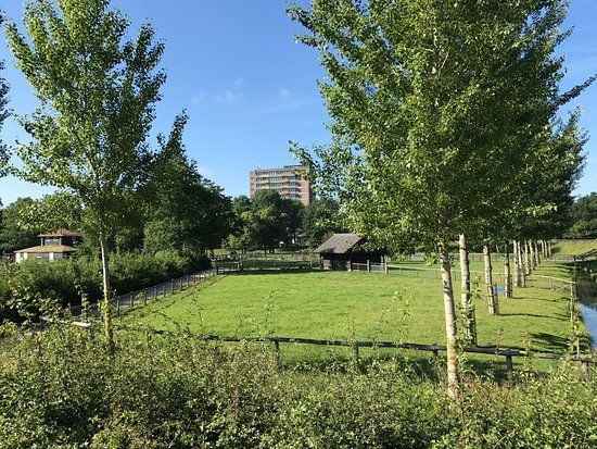 Park de Wezenlanden