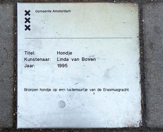 Hondje