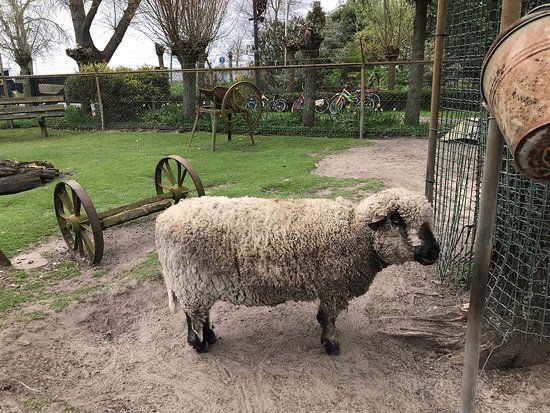 Kinderboerderij 't Dierenduintje