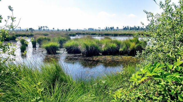 Grenspark De Zoom-Kalmthoutse Heide