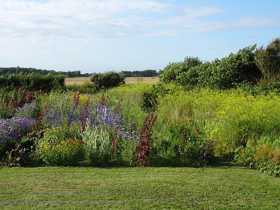 De Zelfpluktuin