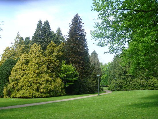 Volkspark