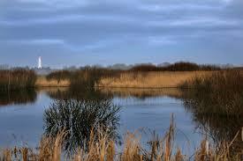 Westerplas